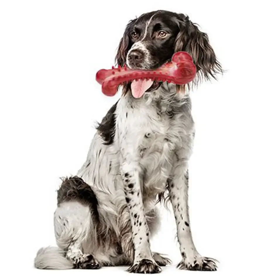 Natural Rubber Bone Dog Chew Toy – Dental Clean