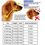 Dog Muzzle – Adjustable Anti-Biting Safety Guard