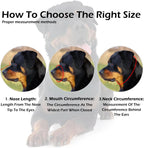 Stainless Steel Dog Muzzle Cage – Adjustable Breathable Training Cover
