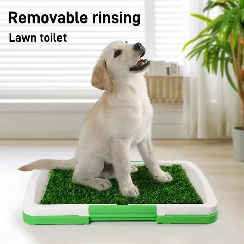 Dog Grass Potty – Reusable Training Toilet