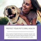 YEGBONG Dog Teeth Cleaning Pen Set – Tartar Remover & Fresh Breath Gel
