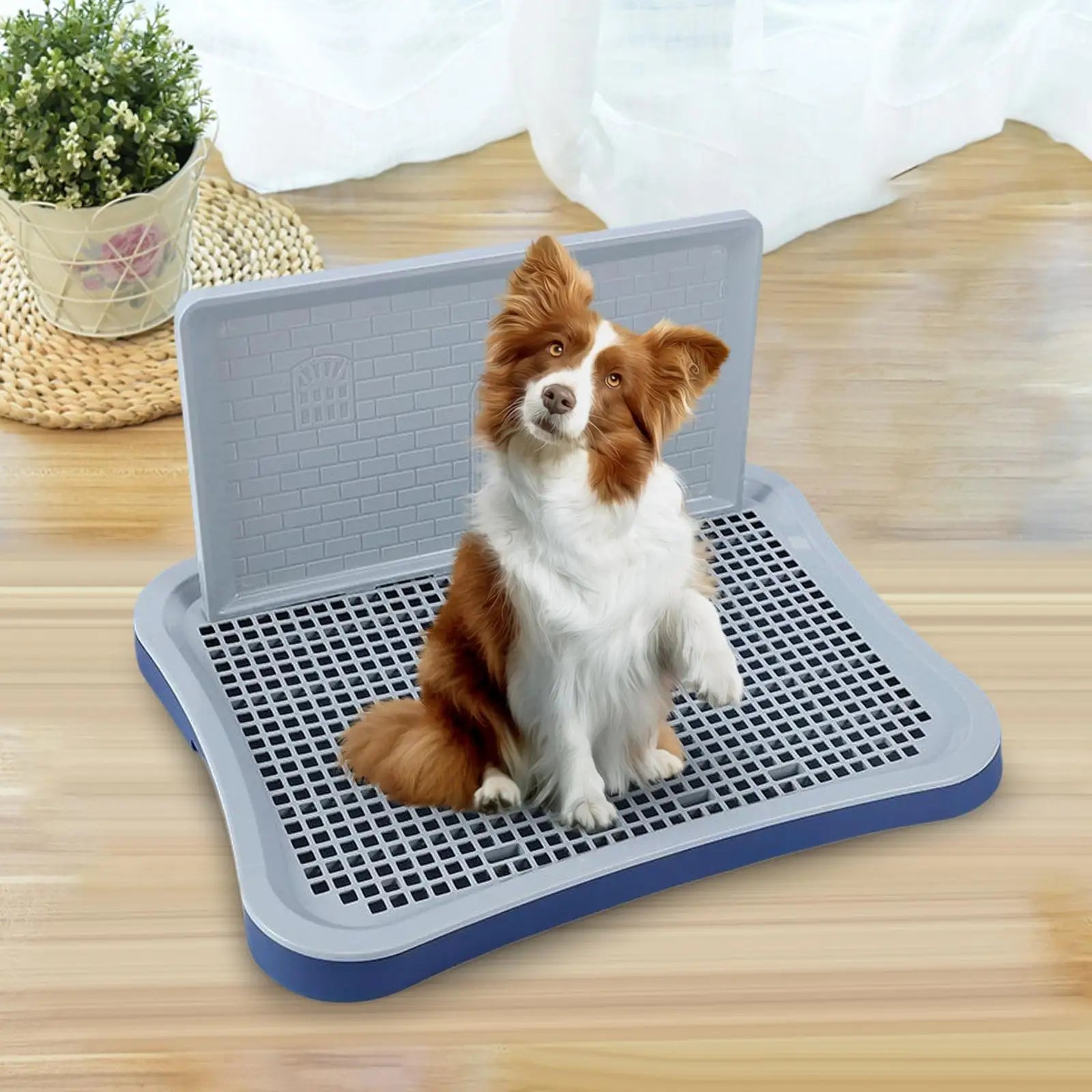 Dog Potty Tray with Wall – Anti-Splash Toilet