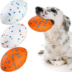 Durable Football Dog Toy for Aggressive Chewers – Floating Fetch