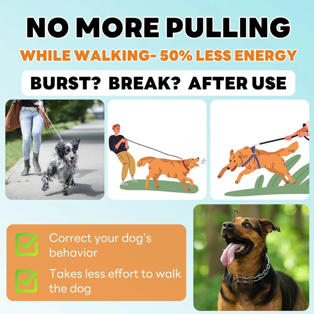 Adjustable Dog Prong Training Collar – Stainless Steel with Quick Release