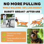 Adjustable Dog Prong Training Collar – Stainless Steel with Quick Release