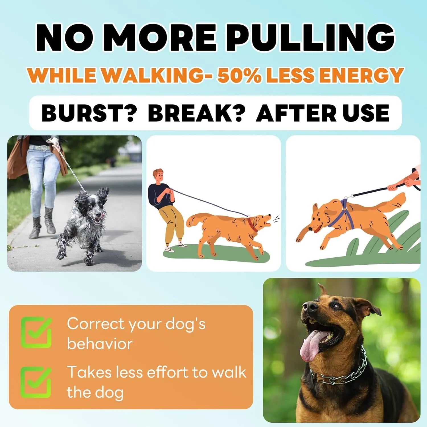 Adjustable Dog Prong Training Collar – Stainless Steel with Quick Release