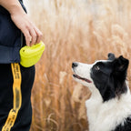 Silicone Dog Treat Training Pouch – Portable Magnetic Closure Waist Bag