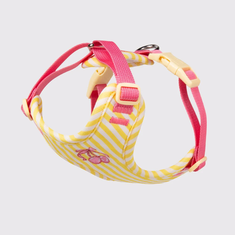 Luxury Dog Harness Set – Stylish Leash & Plush Design