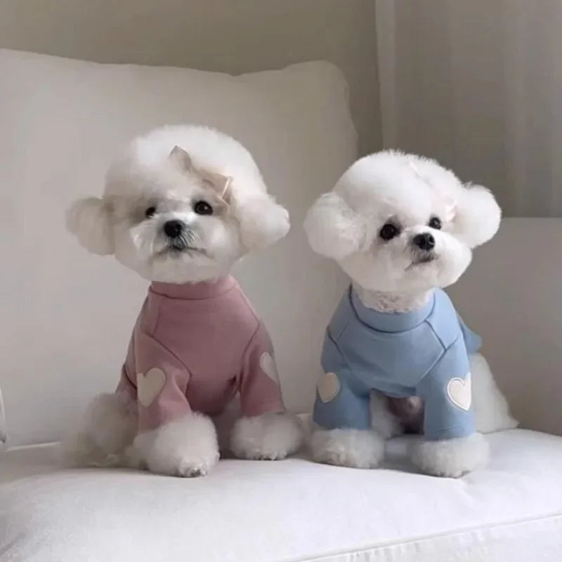 Cute Bear Dog Hoodie – Soft Winter Pet Sweater