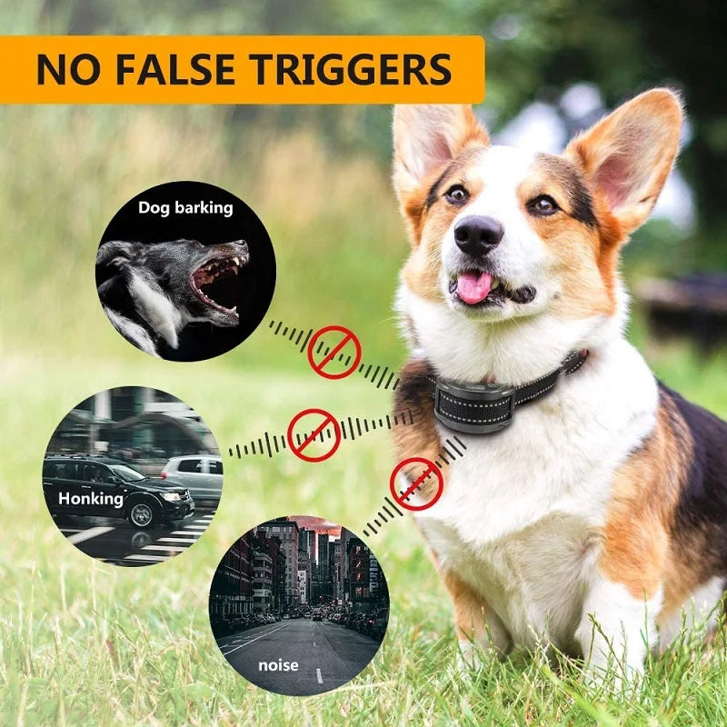 PaiPaitek PD259B Anti Bark Collar – 60 Day Rechargeable Waterproof