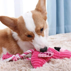 Pink Flamingo Plush Rope Dog Toy for All Sizes