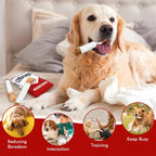 Cigarette Box Plush Dog Toys – 3 Pack for Small & Medium Dogs