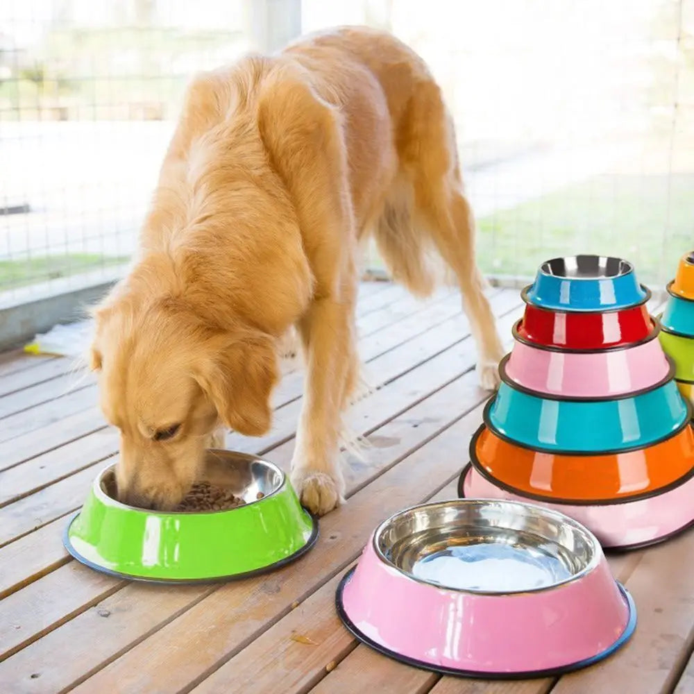 Non-Slip Stainless Steel Dog Bowl – Anti-Skid Food & Water Feeder (Multiple Sizes)