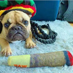 Cigar Design Plush Dog Toy — Funny Interactive Chew Toy for Small & Medium Dogs