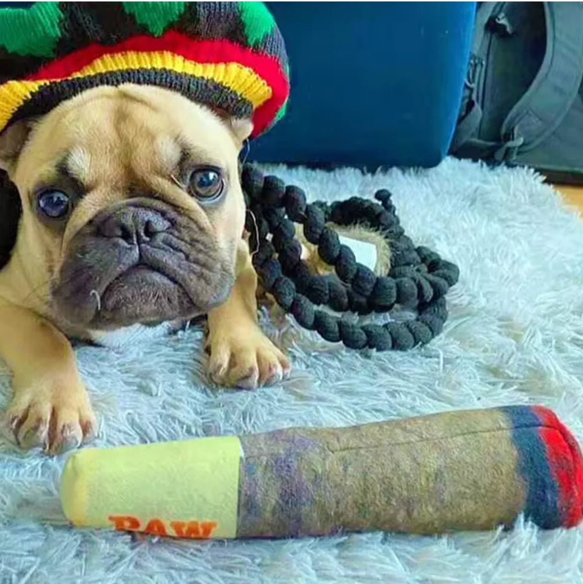 Cigar Design Plush Dog Toy — Funny Interactive Chew Toy for Small & Medium Dogs