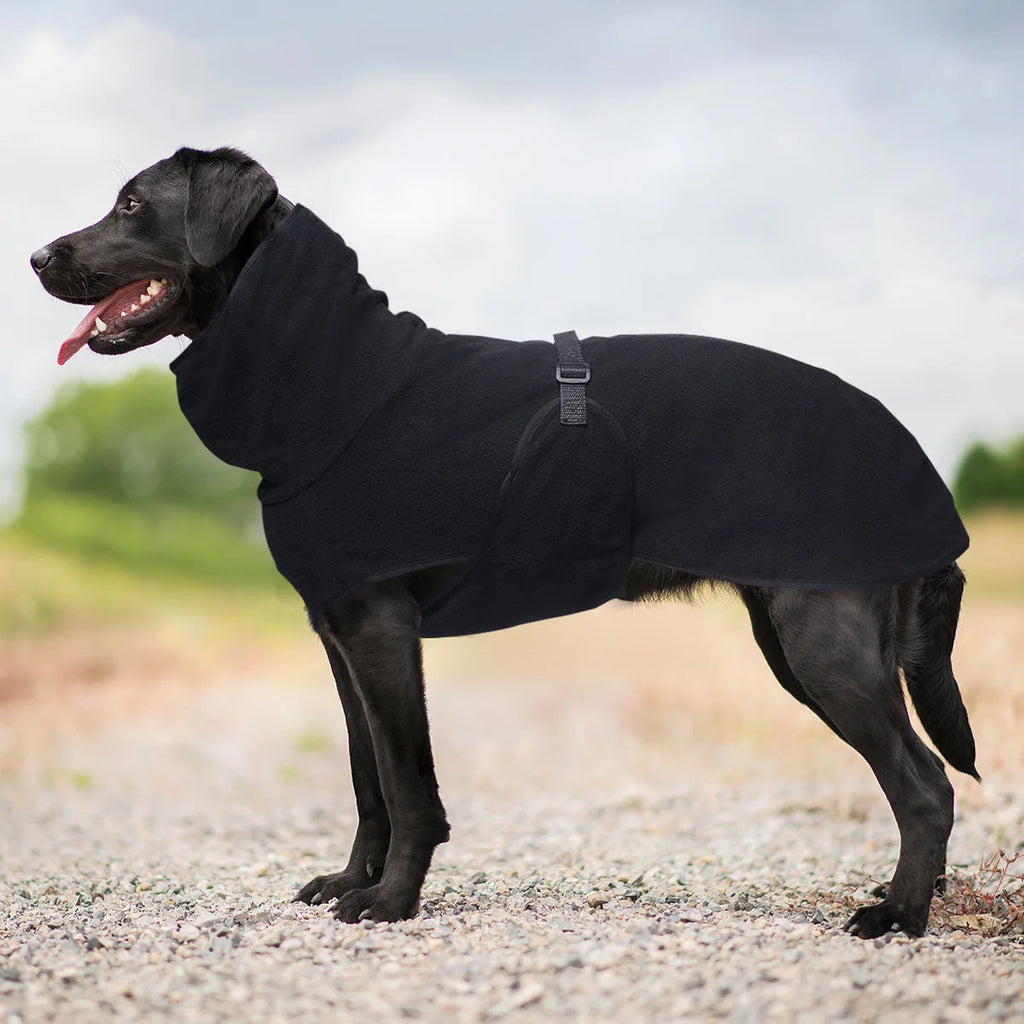 Windproof Dog Winter Coat with D-Ring – Warm Vest for All Sizes