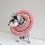 Dog Recovery Collar – Soft Protective Cone