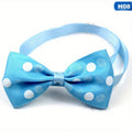 PetPals Polka Dot Bow Tie Collar for Dogs – Adjustable Black & White, Safe Fit