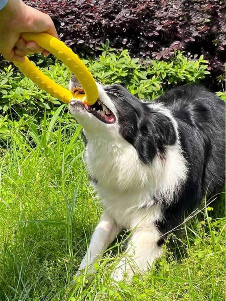 Indestructible Dog Ring Toy – Floating for All Sizes