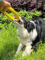 Indestructible Dog Ring Toy – Floating for All Sizes