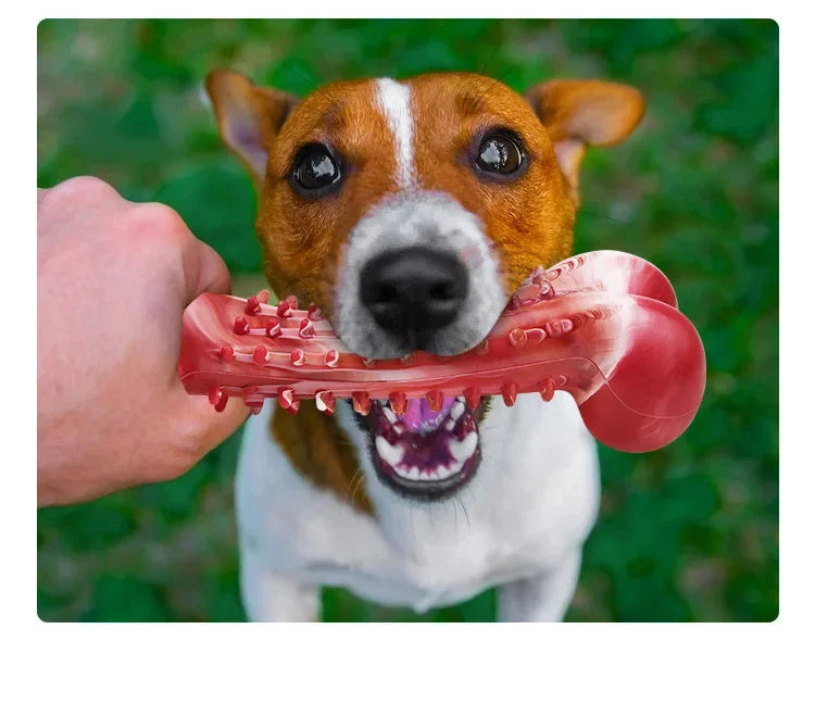 Natural Rubber Bone Dog Chew Toy – Dental Clean