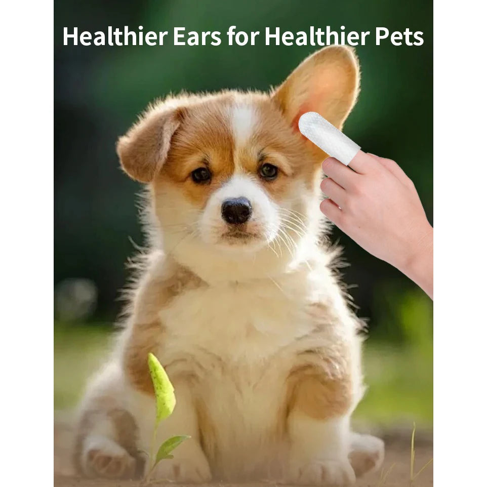 Dog Ear Wipes – Gentle Cleaning Care