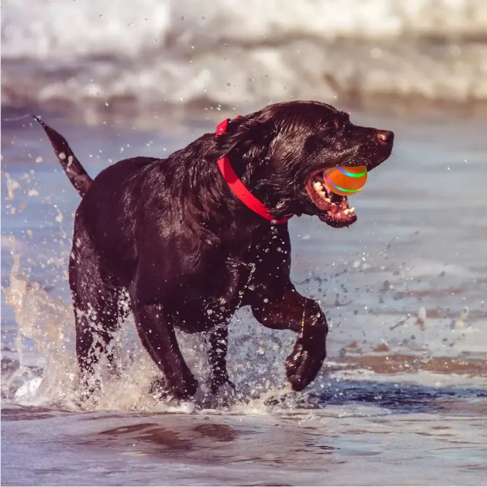 Smart Pet Ball Remote Control – Flashing Waterproof Dog Toy