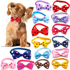 PetPals Polka Dot Bow Tie Collar for Dogs – Adjustable Black & White, Safe Fit