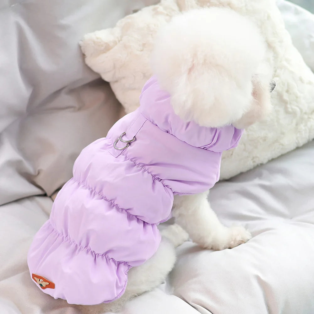 Didog Winter Padded Dog Coat – Windproof Warm Jacket for Small & Medium Dogs