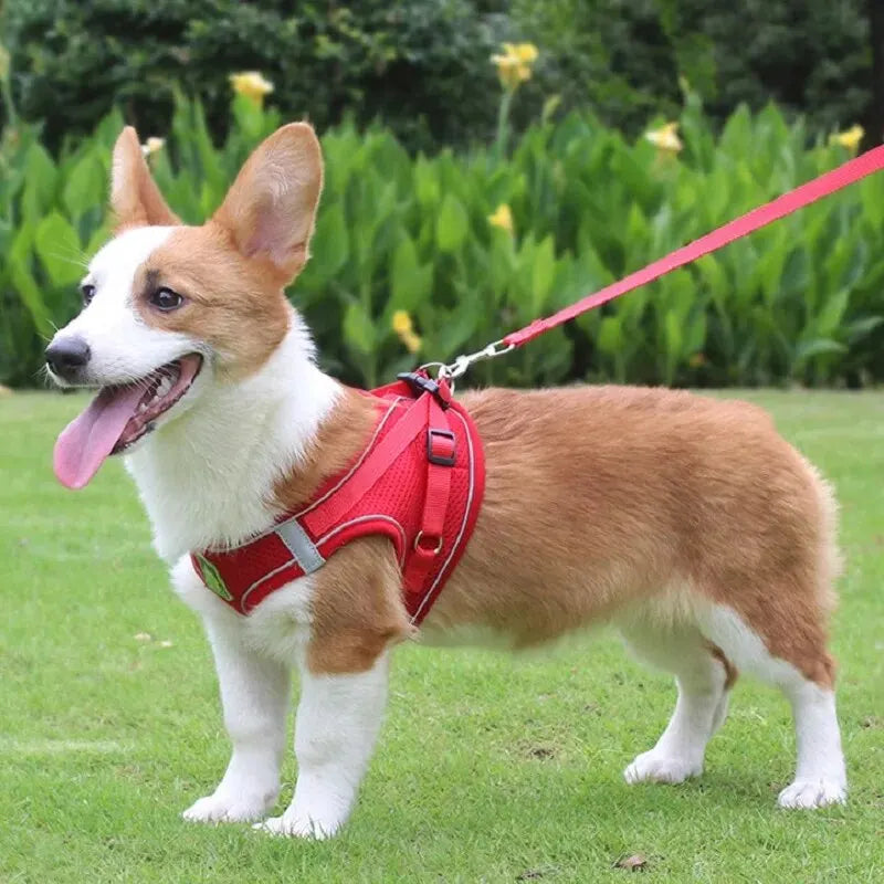 Reflective Dog Harness and Leash Set – No Pull Mesh Vest