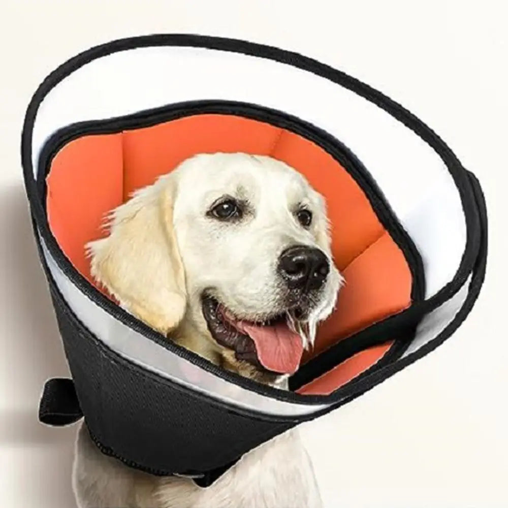 Dog Cone Collar – Soft Anti-Licking Recovery Cone