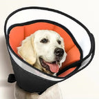 Dog Cone Collar – Soft Anti-Licking Recovery Cone