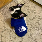 PawPattern XL Dog Hoodie | Black Polyester Winter Jacket for Large Dogs