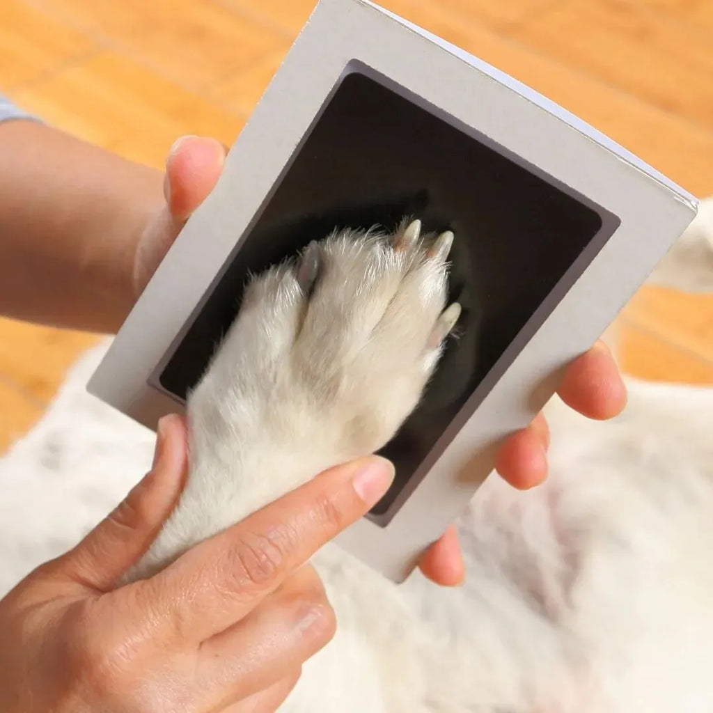 Clean Touch Inkless Paw Print Kit for Dogs – No Mess Keepsake Pad