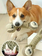 Durable Teeth Cleaning Chew Toy for Dogs