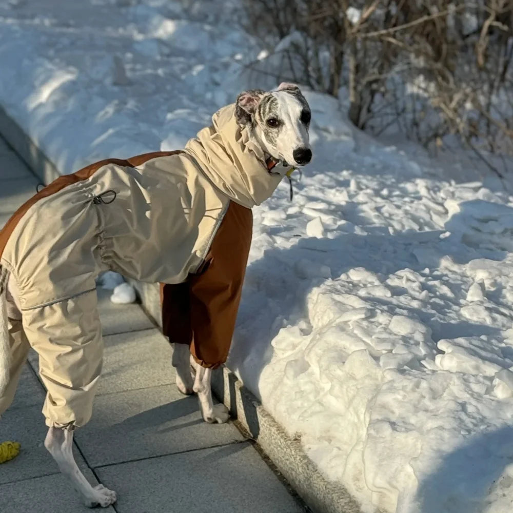 Khaki Dog Winter Coat – Plush Fleece Lined Warm Jacket