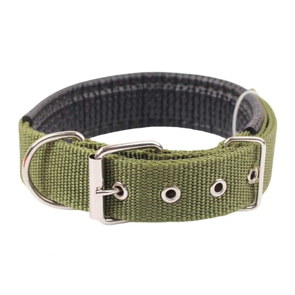 SANWOOD Adjustable Nylon Dog Collar with Traction Ring – Durable Fit All Breeds