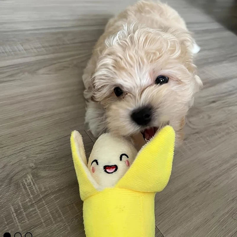 Plush Puppy Toys 7-Piece Fruit & Veggie Set