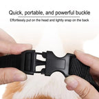 Breathable Dog Muzzle with PP Frame – Anti Bite Walking Guard