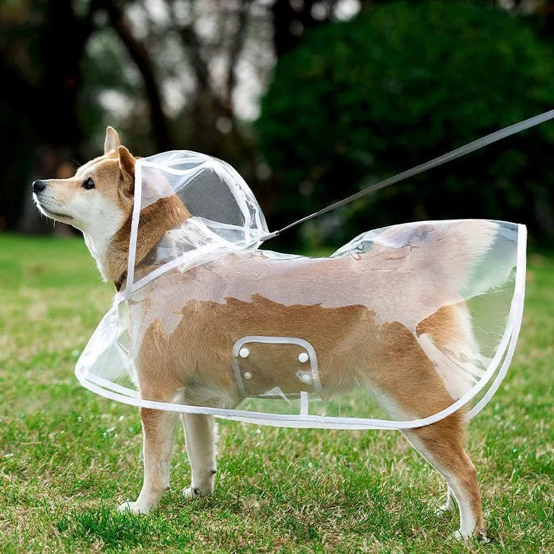 Clear EVA Dog Raincoat – Waterproof Windproof Jacket