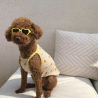 Fashion Heart Dog Sunglasses – Lightweight Photo Accessory