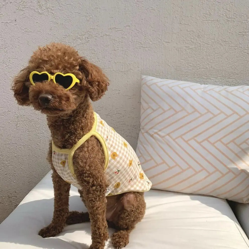 Fashion Heart Dog Sunglasses – Lightweight Photo Accessory