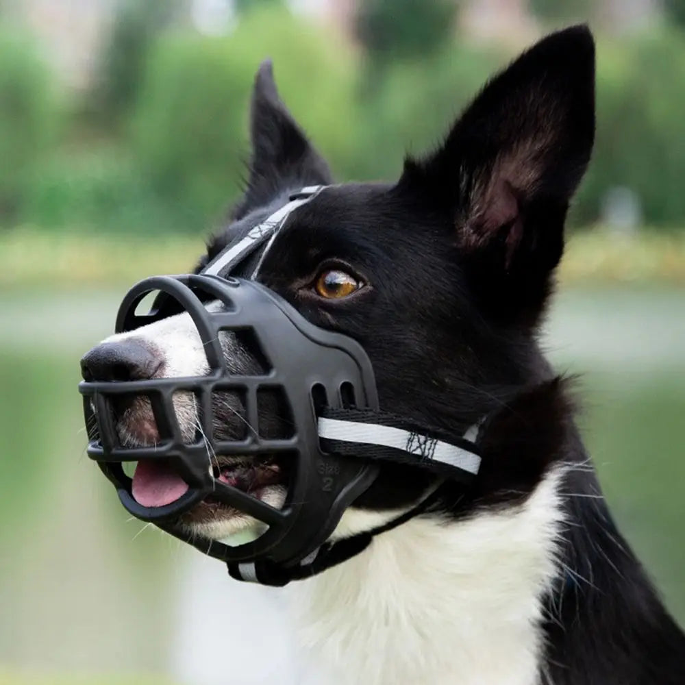 Dog Muzzle – Adjustable Anti-Biting Safety Guard