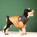 WANGUPET Windproof Dog Jacket | Reflective Winter Coat | Small & Medium Dogs