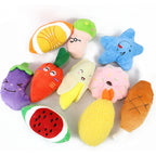Dog Squeaky Plush Toy Pack – 10/20/50 Pieces