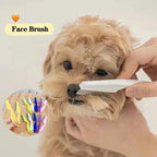 Pet Hair Shedding Comb – Stainless Steel Dog Brush