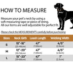 Personalized Dog Collar – Velvet Engraved Name Collar