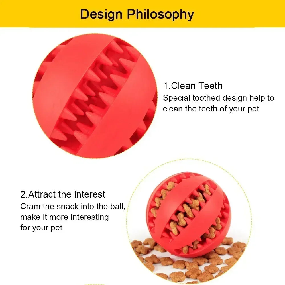Rubber Chew Ball - Dental Care & Treat Dispensing for Dogs