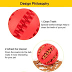 Rubber Chew Ball - Dental Care & Treat Dispensing for Dogs