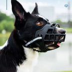 Dog Muzzle – Breathable Anti-Biting Guard